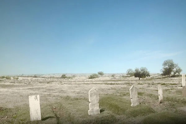 Friedhof Mit Bäumen Und Vielen Grabsteinen Einem Hellen Tag — Stockfoto