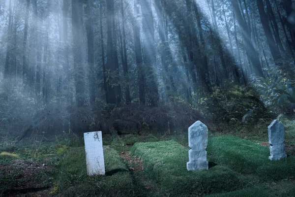 Tumbas Cementerio Bosque Concepto Halloween — Foto de Stock