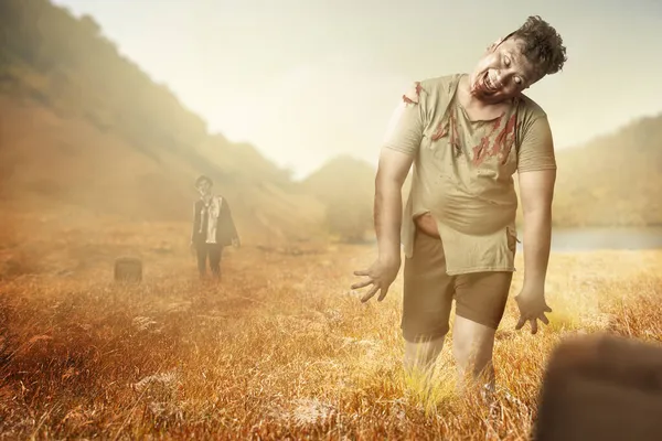 Skrämmande Zombies Med Blod Och Sår Kroppen Går Fältet — Stockfoto