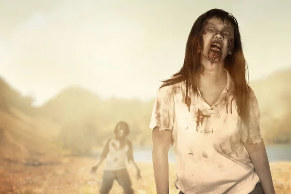Skrämmande Zombie Med Blod Och Sår Kroppen Går Fältet — Stockfoto