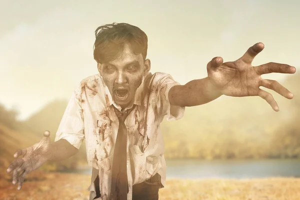 Děsivá Zombie Krví Ranou Těle Kráčející Poli — Stock fotografie