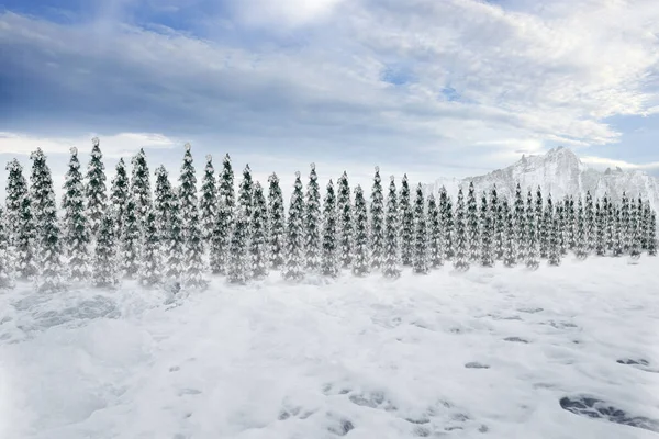 Árboles Abeto Nevado Con Fondo Cielo Azul — Foto de Stock