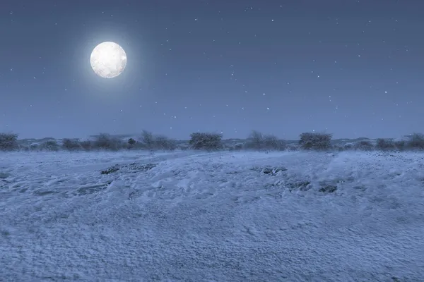 Sneeuwveld Met Volle Maan Nachts — Stockfoto