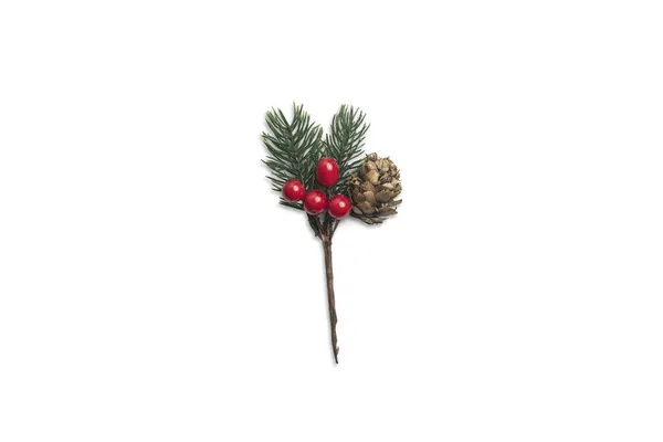 Pine Cone White Background Christmas Decoration — Stock Photo, Image