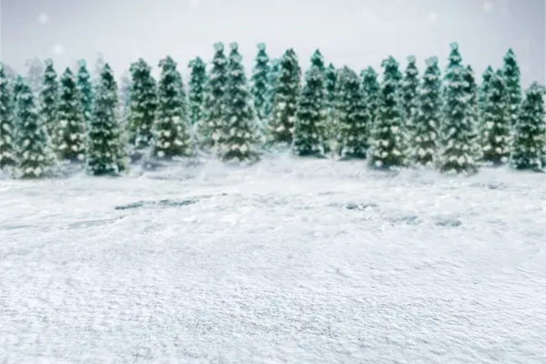 Śnieżne Jodły Tle Opadów Śniegu — Zdjęcie stockowe