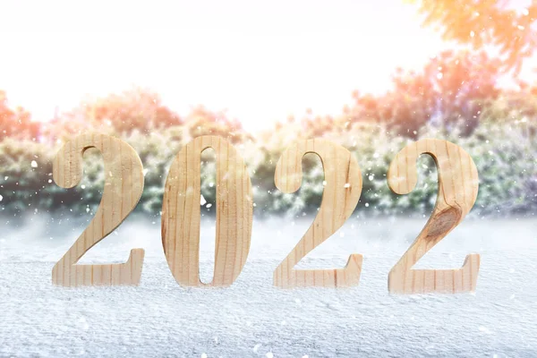 2022 Med Snöfall Bakgrund Gott Nytt 2022 — Stockfoto