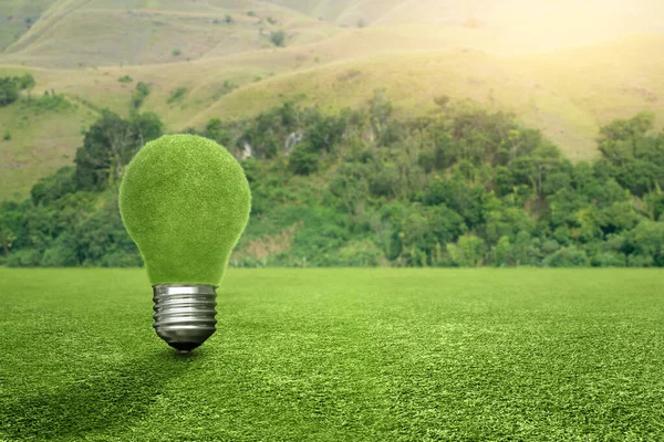 Grass Bulb Green Grass Power Green Concept — Stock Photo, Image