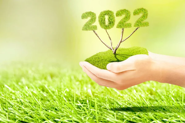 Ludzka Ręka Trzymająca Drzewo Roku 2022 Szczęśliwego Nowego Roku 2022 — Zdjęcie stockowe