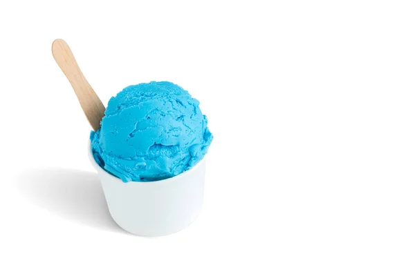 Blueberry Ice Cream Bowl Isolated White Background — Stock Photo, Image