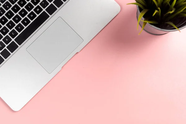 Laptop Med Växt Pott Med Färgad Bakgrund — Stockfoto