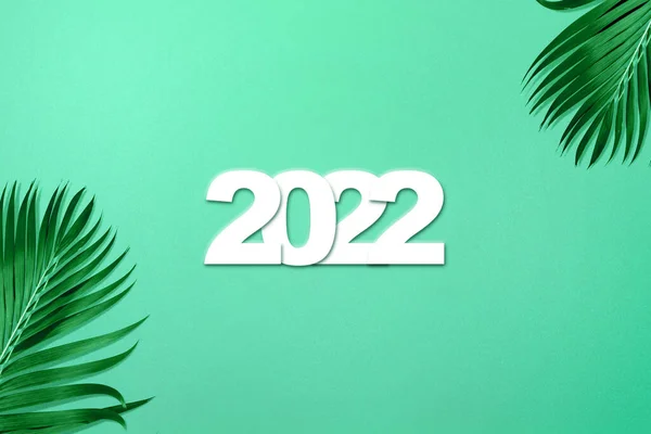 2022 Green Leaves Colored Background Happy New Year 2022 — стокове фото