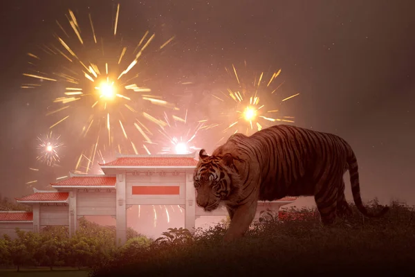 Chinese Pavilion Gate Red Roof Tiger Fireworks Background — Stockfoto