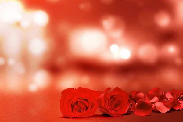 Red Rose Rose Petals Blurred Light Background Valentines Day — стоковое фото