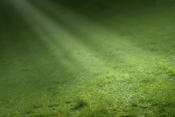 Groen Gras Met Zonlicht Achtergrond — Stockfoto