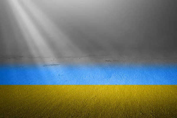 우크라이나 햇빛을 배경으로 경기장에 깃발을 — 스톡 사진
