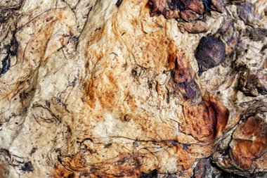 Endüstri için ham lastiğin yakın görüntüsü