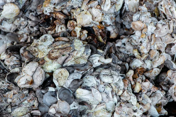 Endüstri için ham lastiğin yakın görüntüsü