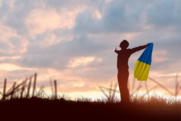 일출을 배경으로 우크라이나 국기를 사업가 실루엣 — 스톡 사진