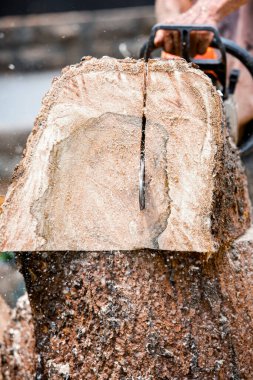 Elektrikli testere ile ağaç kesen bir adam.