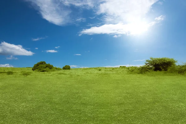 Äng Fält Med Blå Himmel Bakgrund — Stockfoto