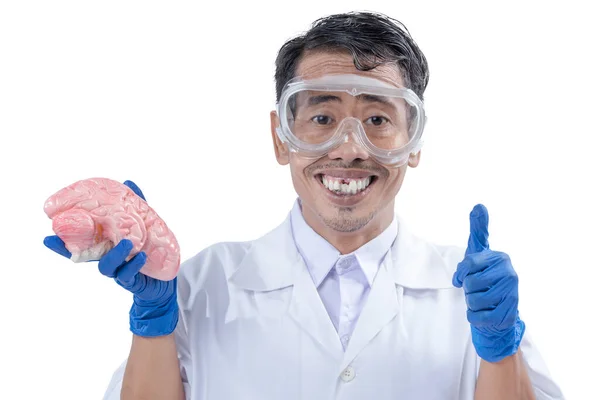 Asian Nerd Scientist Standing Showing Thumb While Holding Human Brain — стоковое фото