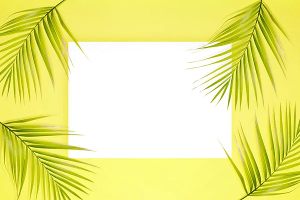 Empty white paper and green palm leaves on a colored background. Empty white paper for copy space