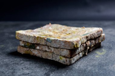 Siyah arkaplanda küflü ekmek dilimi 