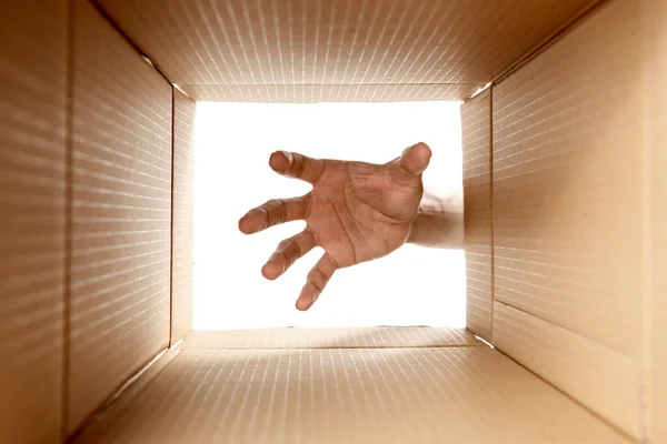 View Box Hand Taking Something White Background —  Fotos de Stock