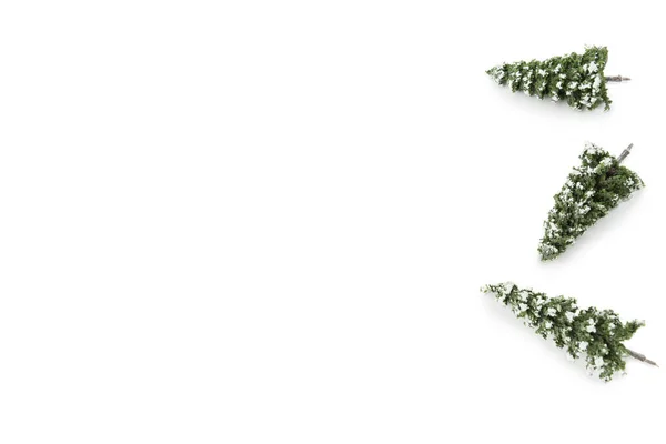 Snowy Little Pine Trees Isolated White Background — Foto Stock