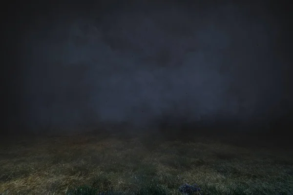 Field Night Foggy Background — Fotografia de Stock