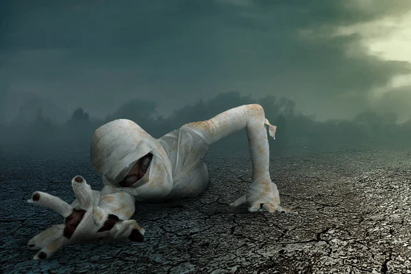 Mummy Crawling Night Scene Background Halloween Concept — Photo