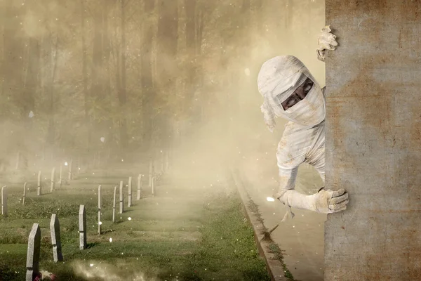 Mummy Comes Wall Cemetery Background Halloween Concept —  Fotos de Stock