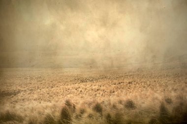 Sisli arkaplanı olan alan