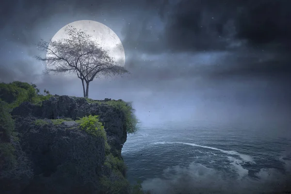 Luna Llena Noche — Foto de Stock