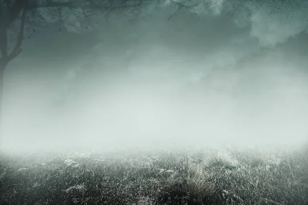 Поле Туманным Фоном — стоковое фото