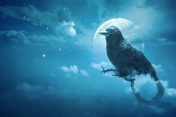 Crow Full Moon Night — Stock Photo, Image