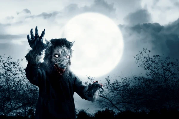 A werewolf with a full moon and night scene background. Halloween concept