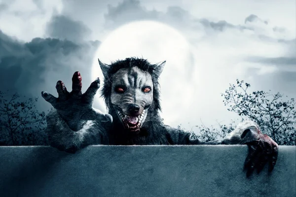 Werwolf Hinter Der Mauer Mit Vollmond Und Nächtlichem Hintergrund Halloween — Stockfoto