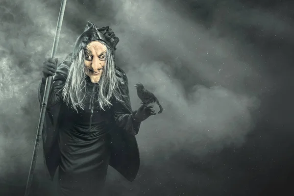 Öreg Boszorkány Egy Köpenyben Egy Bottal Egy Varjúval Sötét Háttérben — Stock Fotó