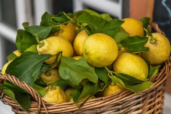 Rustik korg av citroner, cinque terre, Italien Royaltyfria Stockfoton