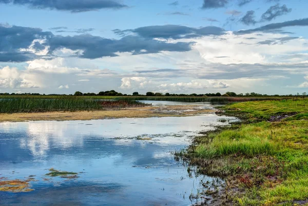 Shannon flusslandschaft, county offaly, irland — Stockfoto