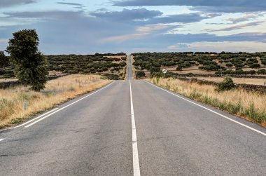 sonsuz Otoban castilla-Leon, İspanya