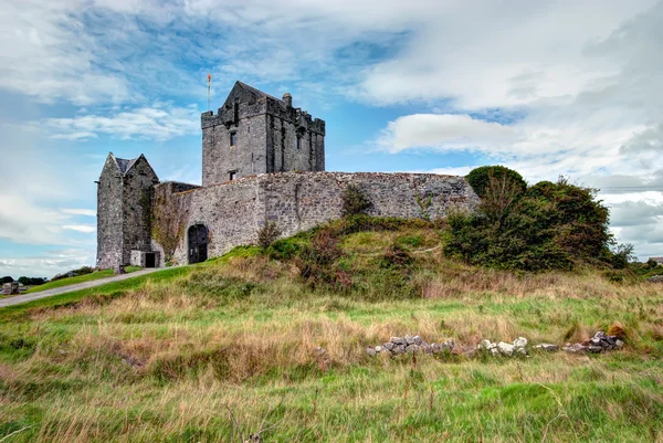 Dunguaire Castle, Irlanti — kuvapankkivalokuva