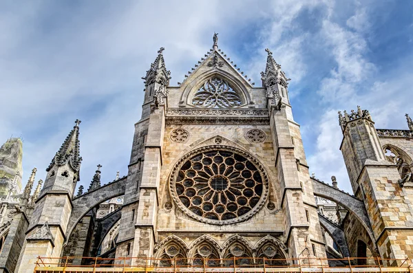 レオン、スペインの大聖堂 — ストック写真