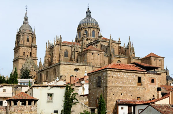 Çatıları ve katedral Salamanca, İspanya — Stok fotoğraf