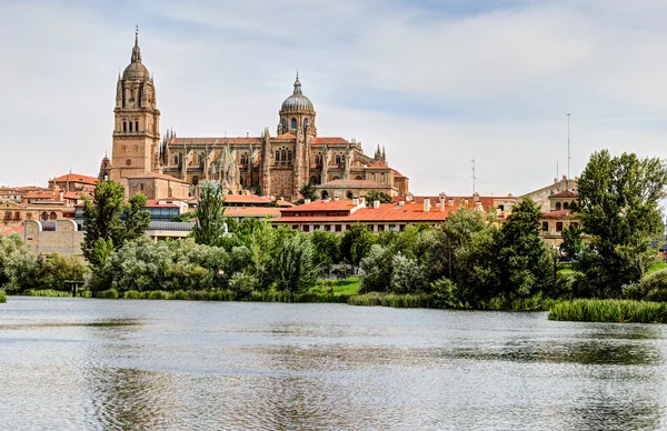 Řeky Tormes a katedrály salamanca, Španělsko Royalty Free Stock Fotografie