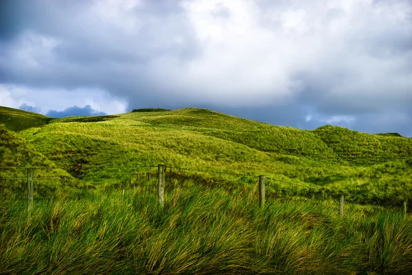 緑山の風景 ロイヤリティフリーのストック写真