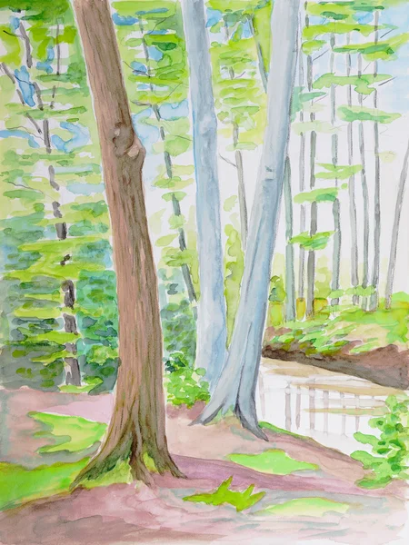 Pintura de árvores florestais — Fotografia de Stock