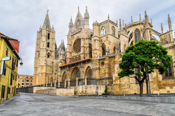 Katedralen i leon, Spanien Royaltyfria Stockbilder