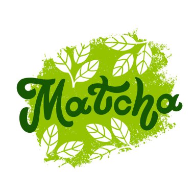Matcha harf dizaynı. Çay ürünleri için yeşil yapraklı dekorasyon. El çizimi vektör kaligrafisi. Asya Japon içeceği. Yeşil çay içeceği. Logo.
